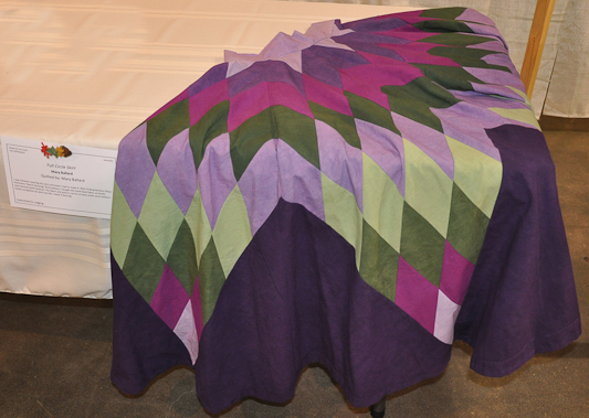 314. Nary Ballard • Full Circle Skirt