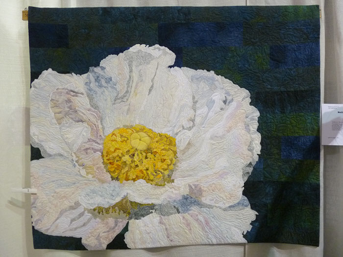 C10a Patty Latourell Matilija Poppy "Romneya Coulteri"