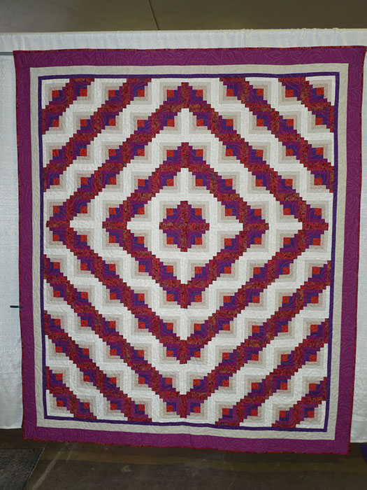 D8 Mary Weaver Paisley Log Cabin